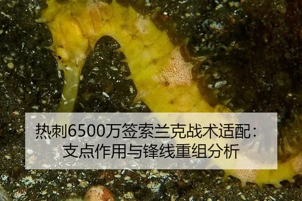 re-ci-wan-qian-suo-lan-ke-zhan-shu-shi-pei-zhi-dian-zuo-yong-yu-feng-xian-chong-zu-fen-xi-2-796.jpg